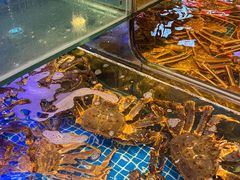 -驻海渔市(置信店)