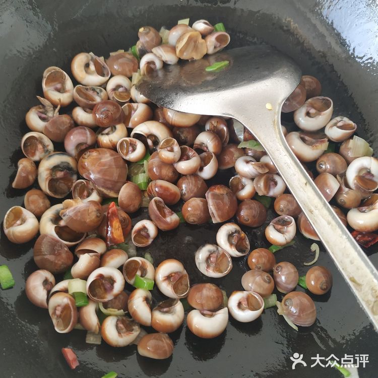 辣炒肚脐波螺,大连海鲜花样做
