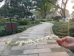 -浙江西子宾馆·瑶园咖啡厅