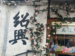 -绍兴鲁迅故里·沈园景区
