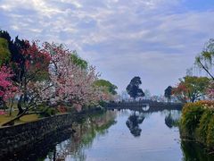 -无锡蠡湖国家湿地公园-蠡园
