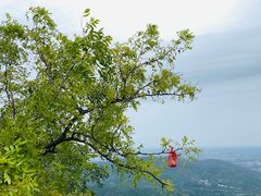 -香山公园