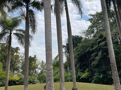 -中国科学院西双版纳热带植物园