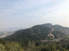 -灵岩山风景区