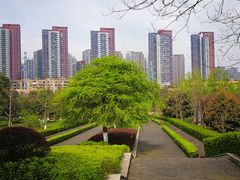 -重庆彩云湖湿地公园