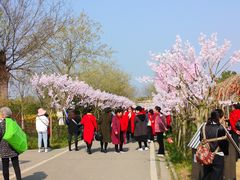 -武汉紫薇都市田园