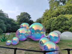 -上海共青森林公园