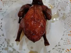 红烧乳鸽（特价）-焯明脆肉鲩世家(金沙洲店)