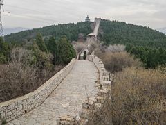 -原山国家森林公园