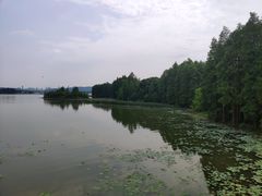 -东湖落雁景区