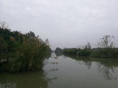 -大湾区中央湿地公园