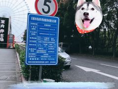 -太湖之星水上摩天轮-停车场