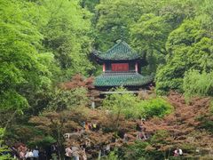 -茶颜悦色(岳麓山顶店)