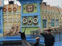 -华夏文旅海洋公园