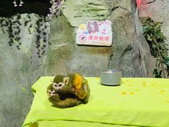 -泉城欧乐堡海洋极地世界