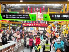 -采薇庄园四季滑雪场