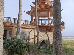 -东郊椰林