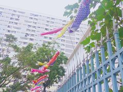 -彩虹村