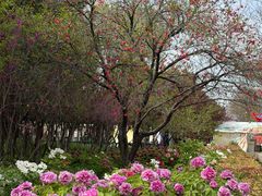 -洛阳市隋唐城遗址植物园