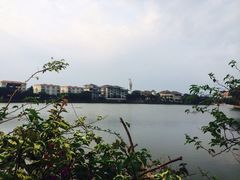 三亚凯莱仙人掌度假酒店-三亚亚龙湾凯莱仙人掌度假酒店