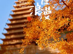 -北京石刻艺术博物馆
