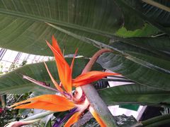 -南宫温泉水世界