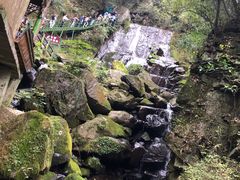 -藏龙百瀑风景区