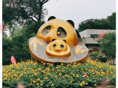 -成都大熊猫繁育研究基地