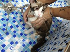 -FAELING PETS美天灵宠物(富力广场店)