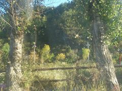 -敛巧饭民俗文化节