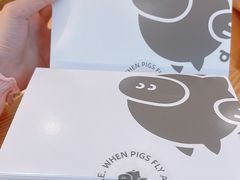 -WHEN PIGS FLY当猪飞