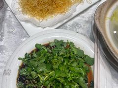 -丁老爷子苏香圆
