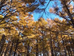 -长春市南湖公园