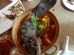 砂锅弓鱼-苍洱春饭店