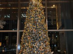 -北京康莱德酒店