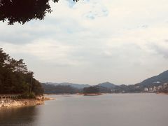 -广州市流溪河国家森林公园