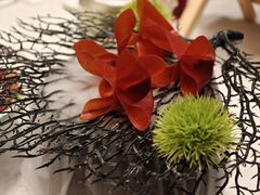 -迦南苑·新派青岛菜·生日纪念日主题餐厅