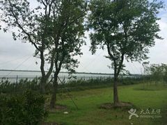 -江滩湿地公园
