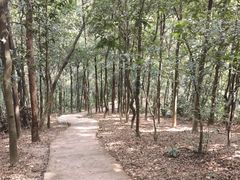 -滴水岩森林公园