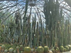 -深圳仙湖植物园