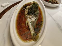 -老绍兴养和饭店(向阳不夜城店)