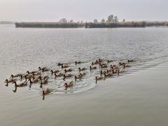 -野鸭湖国家湿地公园