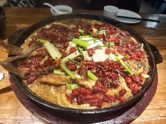 -老板恋上鱼(振华商厦店)