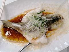 -流花苑精致潮粤菜(越秀店)