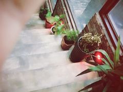 -松茸小馆·云南特色餐厅