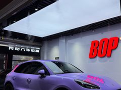 -阿胡BOP保镖隐形车衣(静安旗舰店)