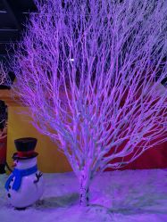 -圣名游乐城冰雪大世界