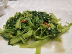 -优之名鹅城
