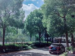 -美再晨游泳馆(新江湾店)
