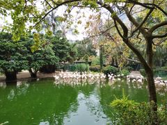 -九龙公园